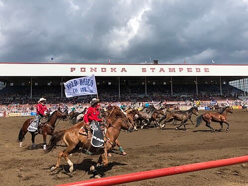 Ponoka, Alberta
